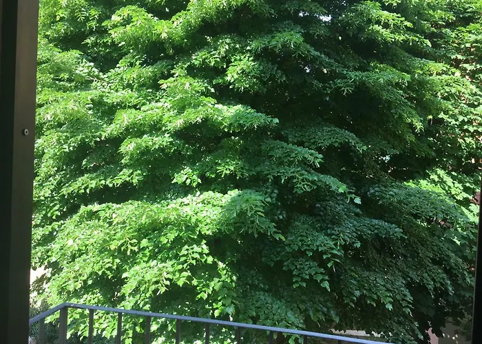 Apartament Corner Bolonia