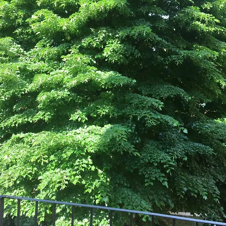 Διαμέρισμα Corner Μπολόνια